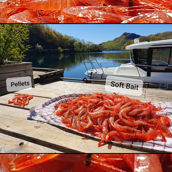 Main Image Soft Bait for Trap Fishing - ...