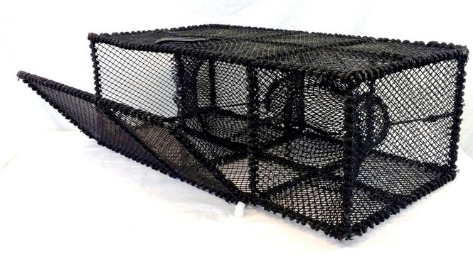 Main Image Wrasse Pot 71cm